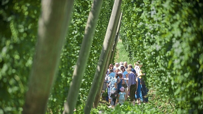 Interessierte Gruppen im Hopfengarten: Die Hallertau ist ein ideales Ausflugsziel für Busreisen.