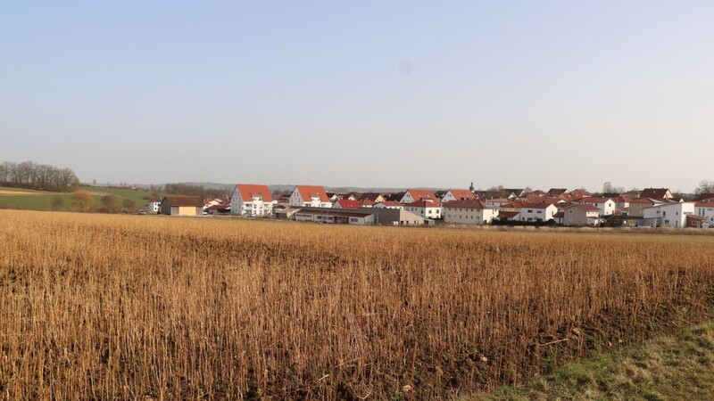 Im Schierlinger Norden, im Anschluss an das Wohngebiet "Regensburger Weg", plant der Markt auf bis zu 15 Hektar ein neues Wohngebiet.