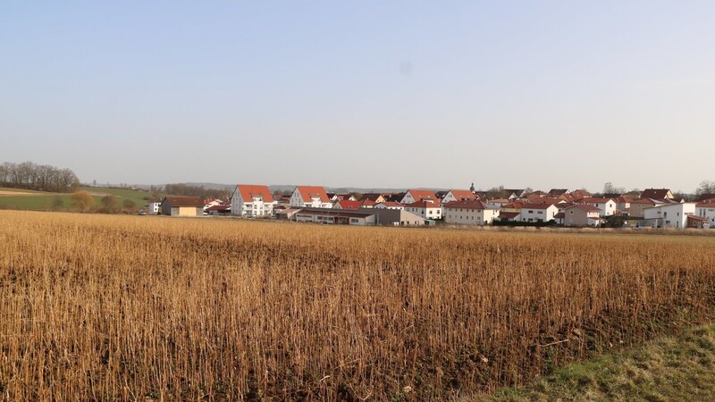 Im Schierlinger Norden, im Anschluss an das Wohngebiet "Regensburger Weg", plant der Markt auf bis zu 15 Hektar ein neues Wohngebiet.