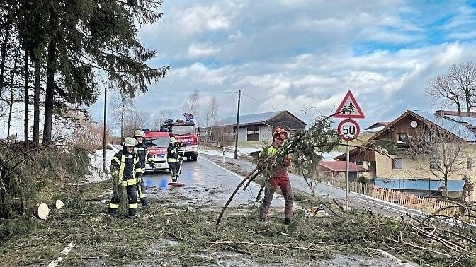 Einige Bäume waren infolge des Sturms im Landkreis auf die Fahrbahn gestürzt, wie etwa hier bei Kirchberg im Wald.