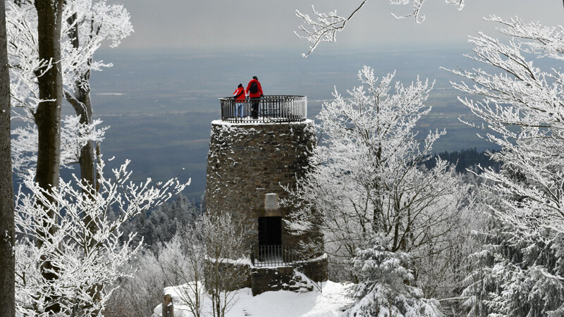 Über den Gipfelbereich des Hirschenstein (1 095 Meter) konnte man den Aussichtsturm beiverschneitem Winterwetter betrachten.