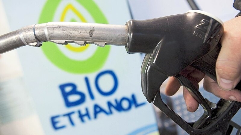 Laut einer Expertin sind Biokraftstoffe auch künftig "unverzichtbar".