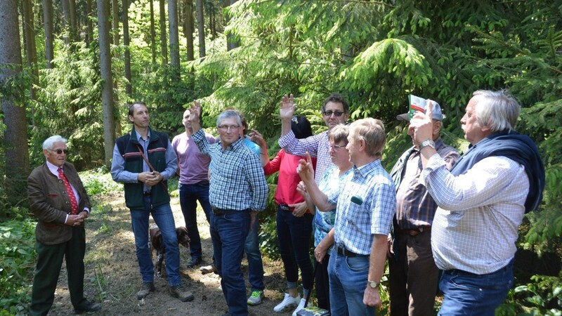 Wolfgang Forstenaicher vom Forstamt Landshut führte eine Gruppe durch den Waldpfad.