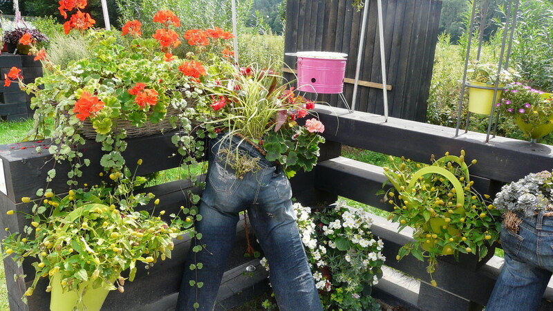 Ausgefallene Installationen mit Blumen erlebten die Gartler auf der Landesgartenschau in Wassertrüdingen