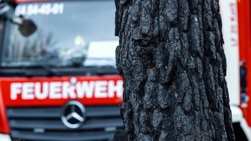 Als Ersatz für das 24 Jahre alte TFL 16/25 wünschen sich Feuerwehr und Gemeinde Lohberg ein hoch geländegängiges Spezialfahrzeug, das zur Waldbrandbekämpfung eingesetzt werden kann.