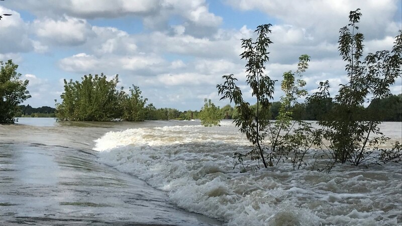 Ab einem Wasserstand von 3,60 Meter wird die Bschlacht zwischen Alter und Neuer Donau überflutet.