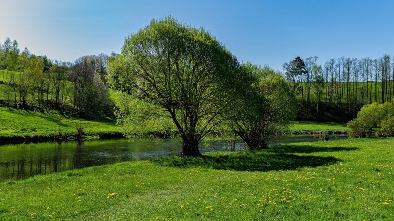 Naturpark Bayerischer Wald und lichtung verlag bieten eine abendliche Literaturwanderung am Fluss Regen bei Viechtach.