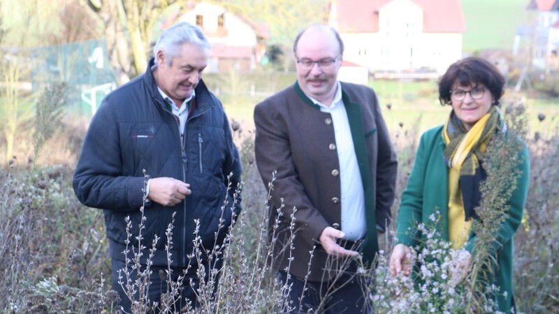 BBV-Kreisobmann Hans Mayer, Landwirt Hans Biener und Kreisbäuerin Rita Blümel (von links) inmitten der Blühwiese, die auch im späten November noch etwas hermacht.