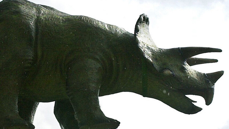 Zwei Dino-Modelle wurden in Taufkirchen Ende April aus dem Urzeitmuseum gestohlen und auf einem Kreisverkehr platziert. Nun haben sich die reumütigen Diebe entschuldigt. (Symbolbild)