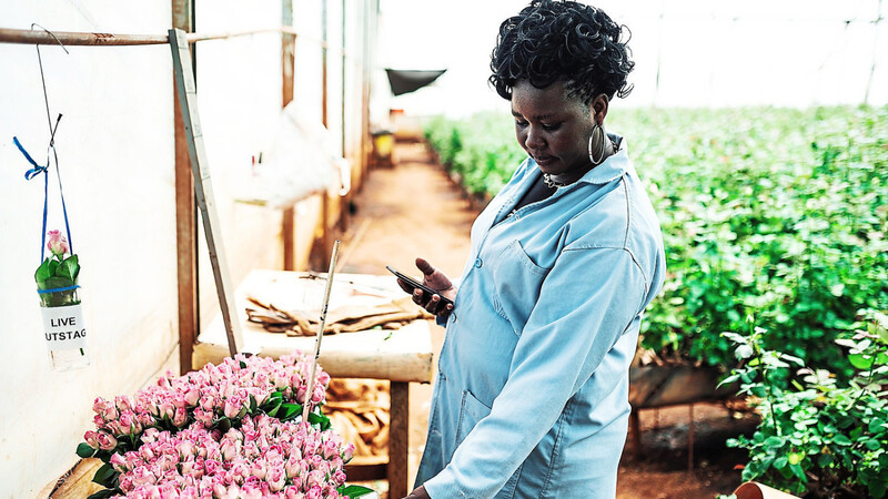 Agnes Chebii von Ravine Roses in Kenia kann unter fairen und frauenfreundlichen Bedingungen arbeiten.