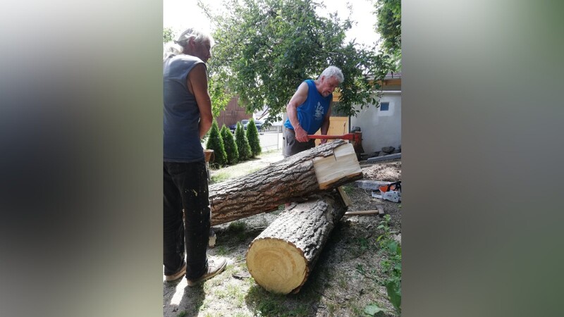 Erich Murr und Manfred Baier bearbeiten den 2 Meter langen Baumstamm.