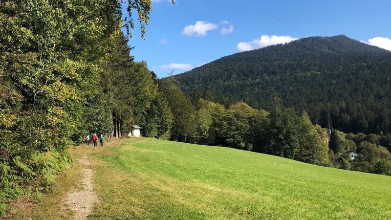 Am Montag geht es auf Schmugglerpfaden durch den Lambacher Hochwald zum Osser.