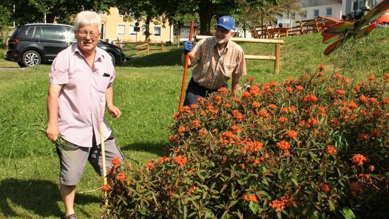 Gartenbauvorsitzender Reinhard Obermeier (li.) und Alfons Enders hängen sich in das Projekt "Blühende Kommunen" mächtig rein, hier am Dorfanger.