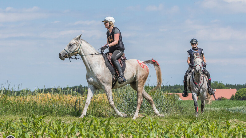 Haben im Juni am Endurance Festival Bavaria in Buch (Landkreis Neu-Ulm) teilgenommen: Andrea Vogl auf ihrem Pferd Picasso OX und Victoria Walz auf Narham (von links).