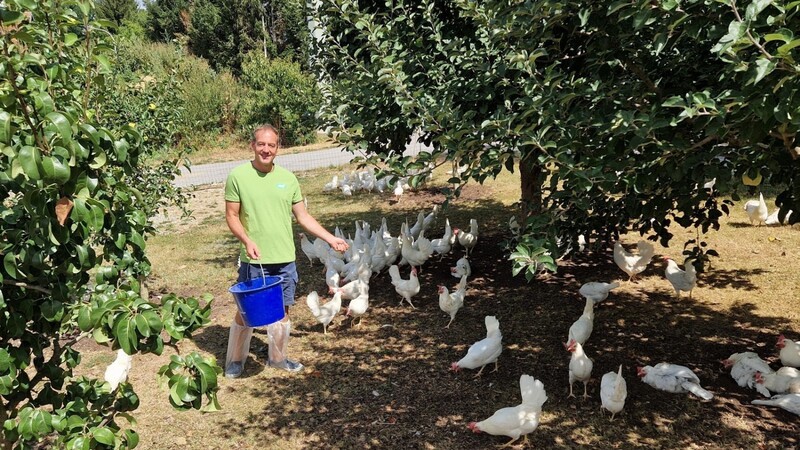 Damit sie etwas zum Picken haben, verstreut Thomas Strauß Körner für die Hühner.