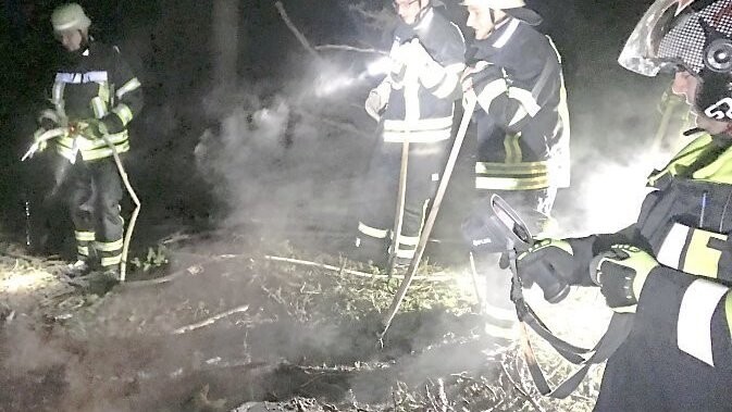Ein Kleinbrand am Kaitersberg beschäftigte am Samstag mehrere Feuerwehren.