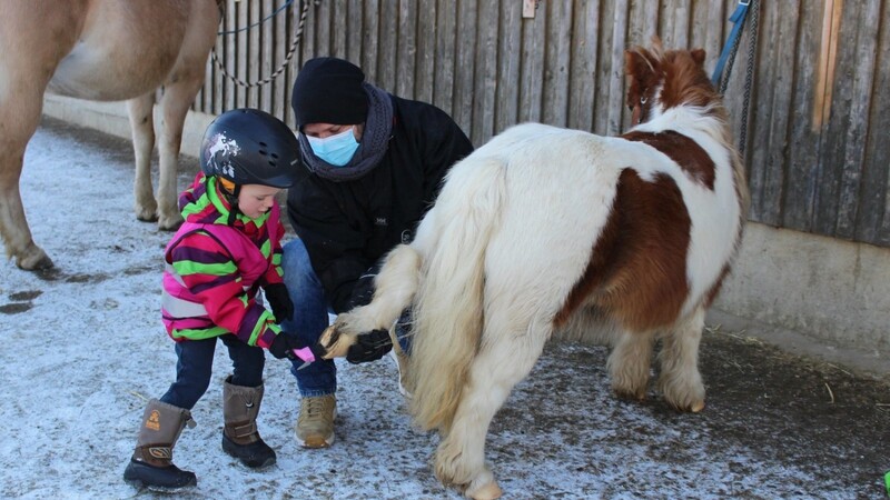 Bei der Pony-Patenschaft kümmert sich das Kind liebevoll um ein Tier und gibt diesem emotionale Nähe.