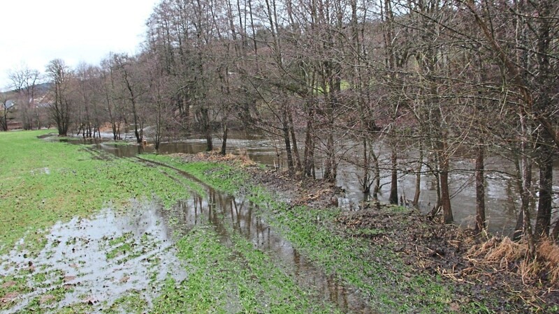 Überflutete Retentionsflächen am Regen in Bad Kötzting