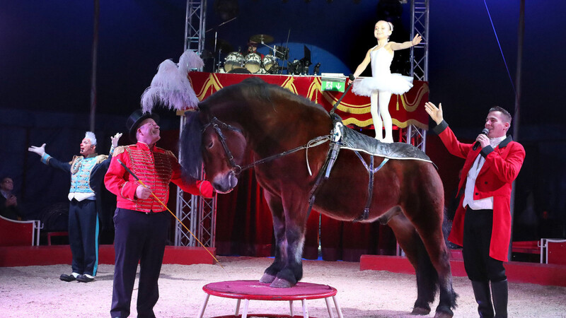 Remo Frank (rechts) gemeinsam mit seiner siebenjährigen Tochter, der Ballerina zu Pferd, und seinem Vater, Seniorchef Alfons Frank (Zweiter von links) bei einer Vorstellung des Landshuter Weihnachtszirkus vor zwei Jahren.
