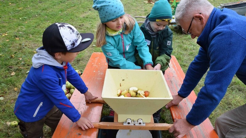 Die Grundschulkinder lernten alles rund um den Apfel.