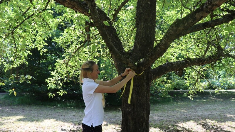 Stadträtin Katharina Dilger kennzeichnet den ersten Apfelbaum am früheren Laga-Gelände.