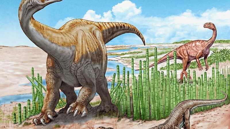 Im Vordergrund ist die neue Gattung, Schleitheimia, zu sehen. Rechts davon im Hintergrund ein Plateosaurus.