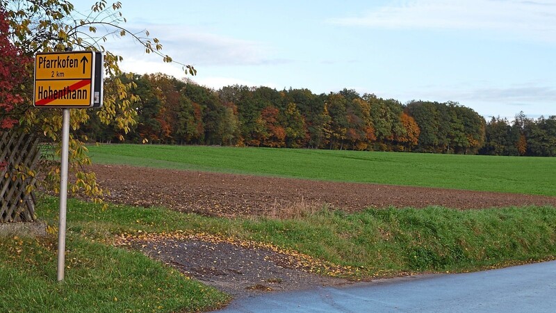 Der FC Hohenthann könnte sich vorstellen, auf diesem Grundstück am Ortsausgang von Hohenthann eine Sportanlage einzurichten.