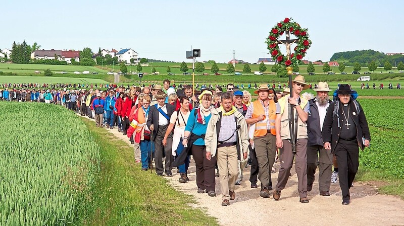 Tausende Pilger machen sich Jahr für Jahr von Regensburg aus auf den Weg nach Altötting. Erstmalig pausiert die Wallfahrt nun.  Foto: Diözesanfußwallfahrt e. V.