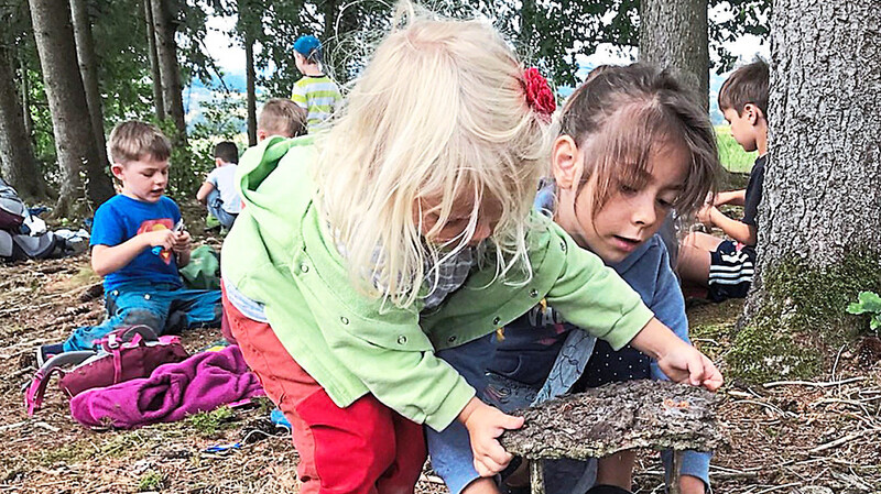 Die Kinder beim Bauen eines Wichtelhauses. Der Vorstandschaft des Waldkindergartens Waldwichtel ist es wichtig, dass nicht nur Bogener Kinder, sondern auch Kinder aus Nachbargemeinden den Kindergarten besuchen können.