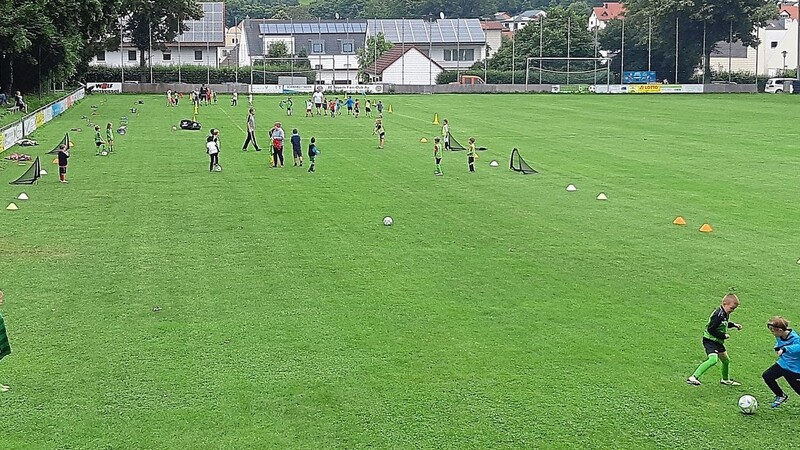Die TSV-Bambini sind wieder mit Eifer auf dem Fußballplatz. Der Verein freut sich über den Boom bei den Nachwuchskickern.