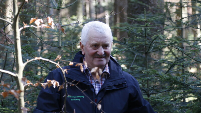 Für den Wald hat er sich immer engagiert: Hans Kastl in seinem Bestand am Hohenbogen.