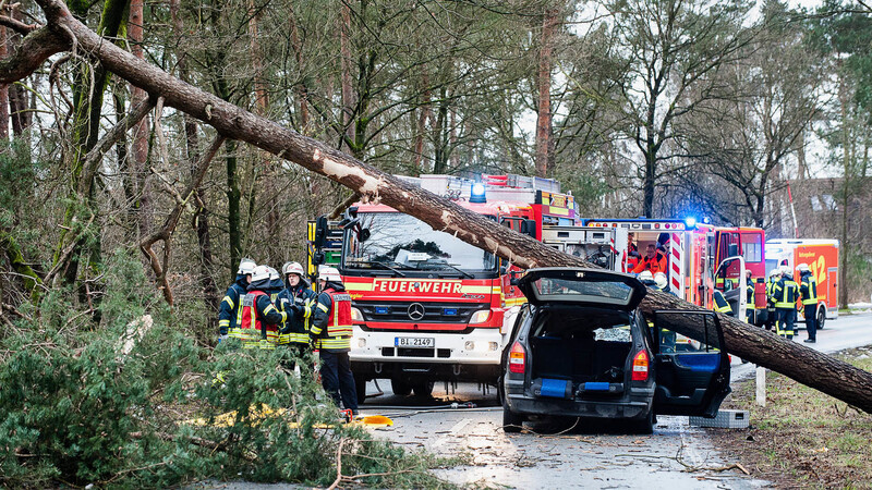 Rettungskräfte stehen in Bielefeld (Nordrhein-Westfalen) an einem Baum, der auf ein Fahrzeug gestürzt ist.