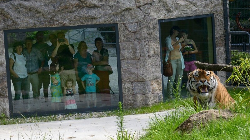 Der Zoo erwartet wieder Besucher, allerdings dürfen sich aufgrund der Corona-Vorgaben nur 1 300 gleichzeitig im Gelände aufhalten.