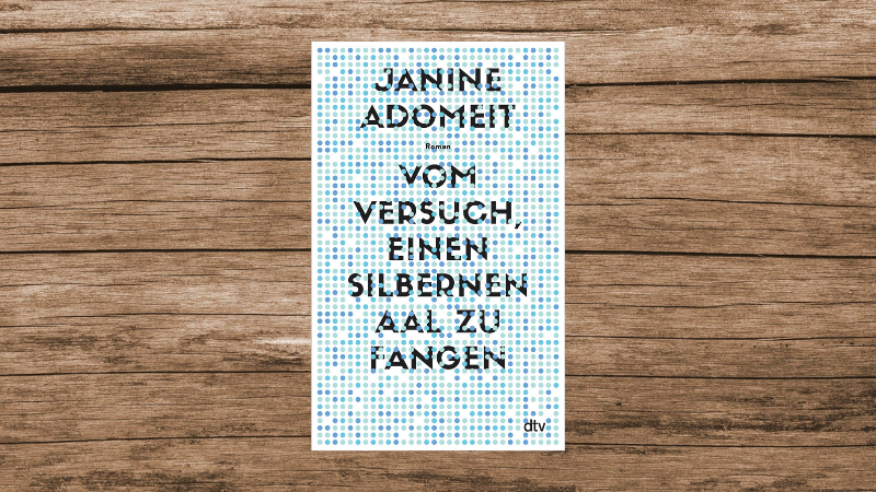 "Vom Versuch, einen silbernen Aal zu fangen", Roman, Janine Adomeit, 432 Seiten, erschienen bei dtv.