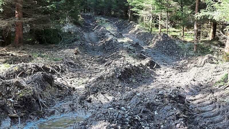 Dieser Waldweg im Mannsdorfer Revier wurde durch Holzeinschlagarbeiten faktisch zerstört.