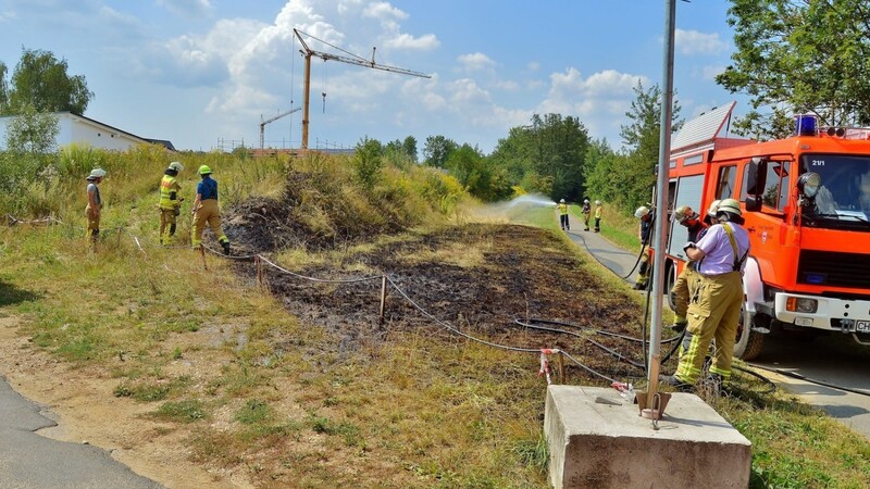 Ein Foto von Brand 4 in Cham-Süd - hier Gutmaning. Für die Feuer an den Böschungen ist wohl ein junger Mann verantwortlich.