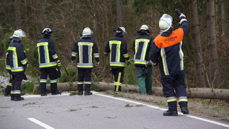Die Feuerwehr Wiesent - hier bei der Beseitigung eines umgestürzten Baums auf der Straße Richtung Frauenzell - rückte am Montag sechsmal aus.