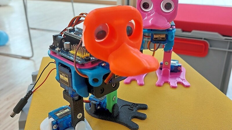 Drollig: Eine eigene Ente können Schüler im Rubina-Haus bauen und programmieren. Die kann sogar tanzen.