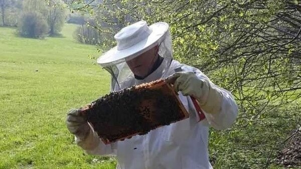 Seit er nicht mehr Bürgermeister in Wiesenfelden ist, hat Anton Drexler vermehrt Zeit, sich um seine Bienenvölker zu kümmern.