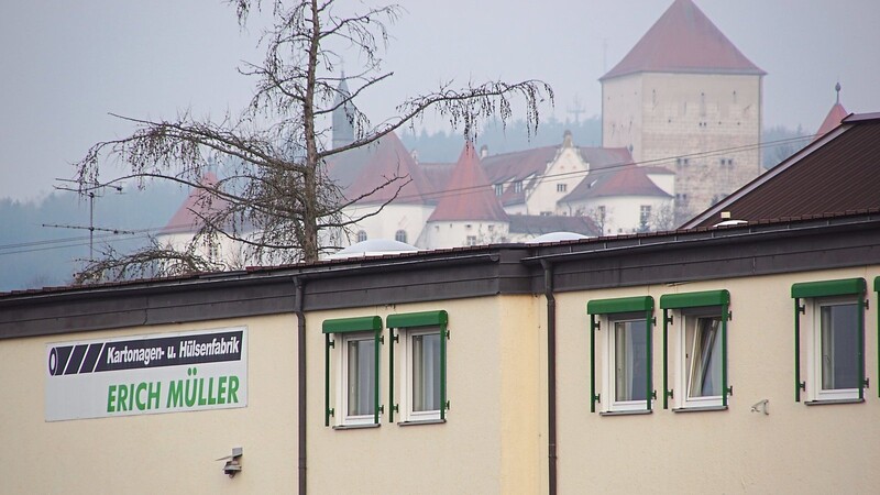 Das Wörther Werk der Firma Müller, im Hintergrund das Schloss. Schweren Herzens wird der Betrieb abwandern - auch wegen des Polders.