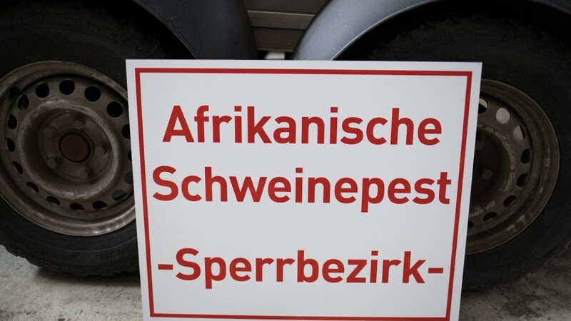 Ein Schild mit der Aufschrift "Afrikanische Schweinepest - Sperrbezirk".