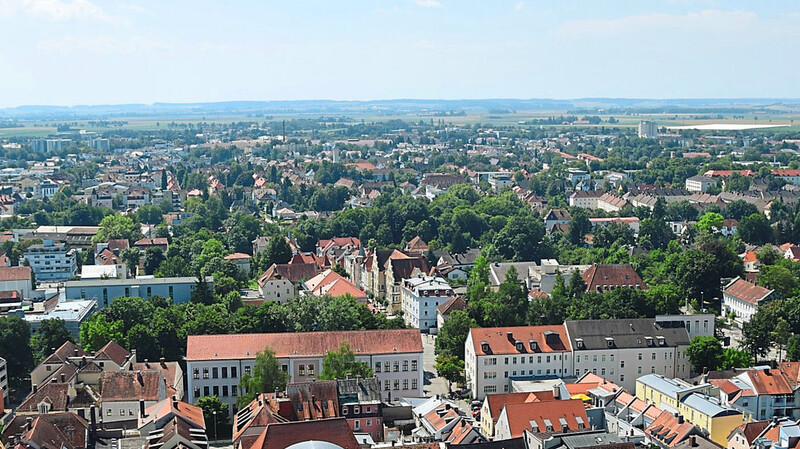 Straubing soll in den nächsten Jahren 1 000 zusätzliche Bäume erhalten. Ein Projekt der Stadt.