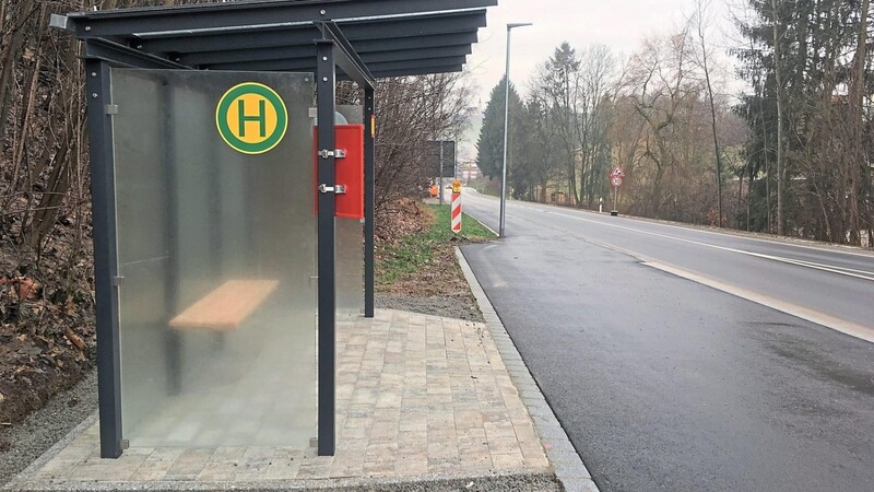 Die neue Bushaltestelle an der Westumgehung, die barrierefrei gestaltet wurde. Drei Haltestellen in der Stadt fallen zum Jahreswechsel weg - zum Bedauern von VCD-Sprecher Günter Schmauder.