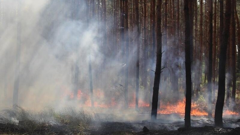 Die Gefahr von Waldbränden bleibt weiterhin hoch. Die Feuerwehr Landshut gibt Tipps, wie sich Bürger verhalten sollten.