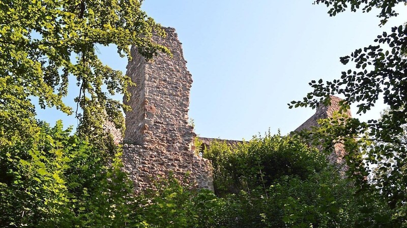 Wer könnte sich nicht vorstellen, dass auf der Burgruine Schwärzenberg Dornröschen auf ihren Prinzen wartet?