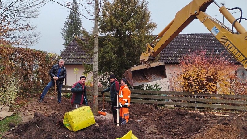 Bürgermeister Gerhard Zeitler (links) zusammen mit Mitarbeitern des Bauhofs bei der Pflanzung eines Baums auf dem Friedhofsgelände.