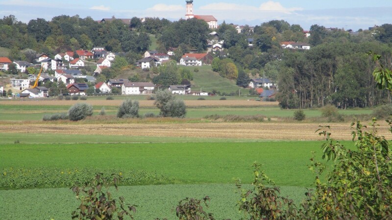 Das Königsauer Moos ist ein Natur- und Landschaftsschutzgebiet von europaweiter Bedeutung.