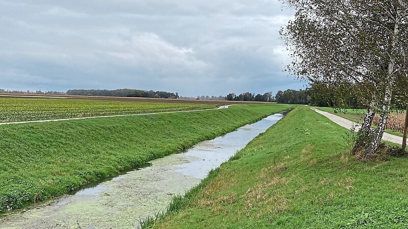 Im Hochwasserfall wird der Herzogbach-Angerbach-Ableiter durch den Rückstau zum Problem für die Region Ruckasing-Endlau.