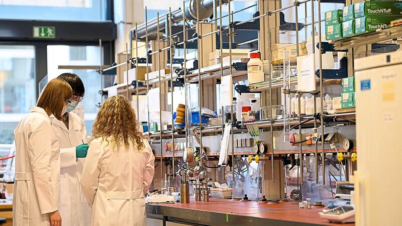 Im Labor für die Heterogene Katalyse im Max-Planck-Institut Mülheim an der Ruhr. Viele Promovierte sorgen sich um ihre berufliche Zukunft.