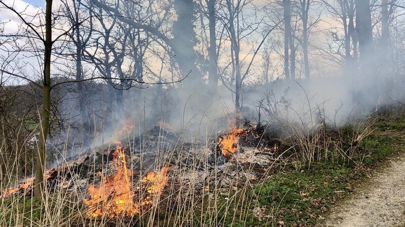 Rund 100 Quadratmeter Wald standen am Samstagnachmittag im Bereich Äpflet in Flammen.